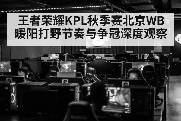 王者荣耀KPL秋季赛北京WB暖阳打野节奏与争冠深度观察