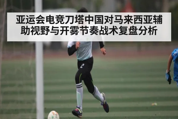 亚运会电竞刀塔中国对马来西亚辅助视野与开雾节奏战术复盘分析